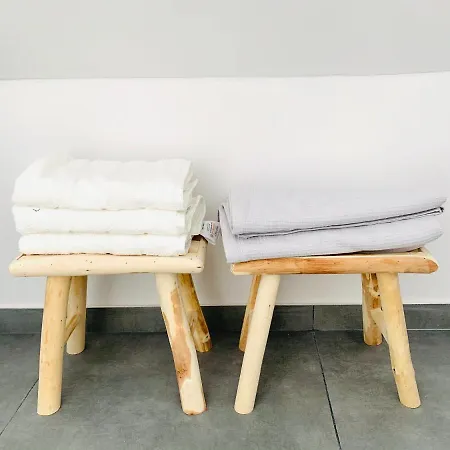 Chez Lileaula - Boho Duplex In Belle Epoque *